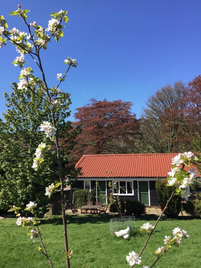The Burnside Bed and Breakfast Edmondbyers Exteriör bild