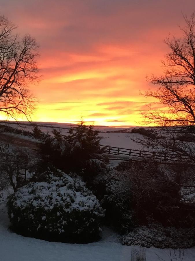 The Burnside Bed and Breakfast Edmondbyers Exteriör bild
