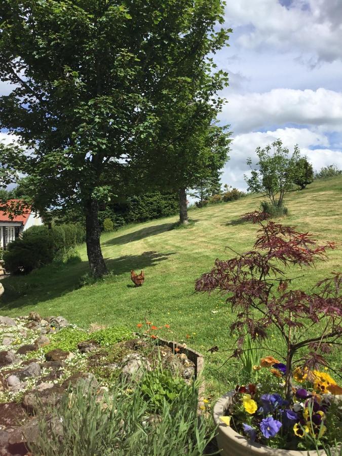 The Burnside Bed and Breakfast Edmondbyers Exteriör bild
